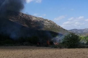 Tretze dotacions dels Bombers treballen en un incendi a tocar l'N-260 a Llançà