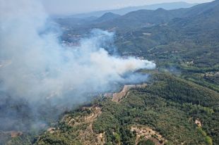 Fins a 34 dotacions dels Bombers treballen en un incendi forestal a Arbúcies