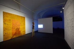 La Casa de Cultura inaugura 'Phasmas', d’Andres Siri, guanyador de les Exposicions Viatgeres 