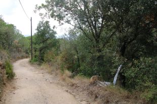 Troben un cadàver en avançat estat de descomposició prop de Blanes