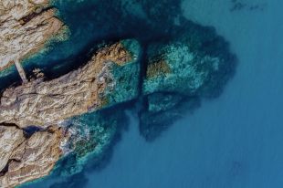 La sobrepesca amenaça els boscos d'algues a la Costa Brava i crea deserts marins