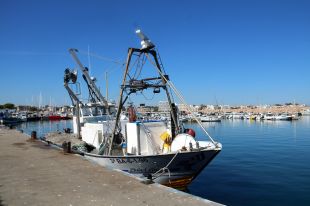 Govern i pescadors reclamen a l'Estat replantegi la veda de sardina que titllen de ''ruïna''