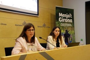 Les petites i mitjanes empreses turístiques de Girona els manca maduresa digital