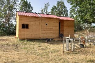 Instal·len una cabana temporal per a un pastor amb 600 ovelles a l'Alta Garrotxa