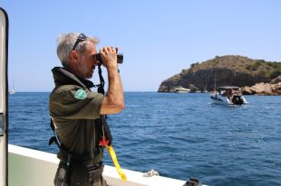 Creix un 43% les embarcacions que fondegen en praderies de posidònia a la Costa Brava 