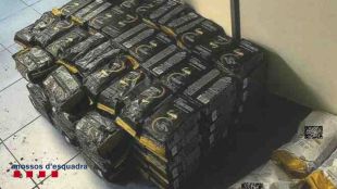 Detingut per robar 3.000 euros en cafè d'un camió aparcat a l'AP-7 a Biure