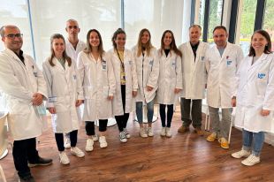 L'IDIBGI descobreix que existeix una relació entre el greix i la funció cognitiva del cervell
