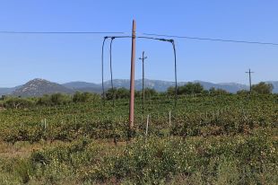Els veïns d'Espolla porten nou dies sense servei de telefonia per un robatori de coure