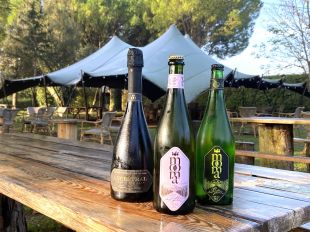 La sidreria Mooma de Pals guardonada amb tres premis al SISGA d'Astúries