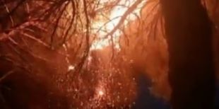 Els Bombers treballen en un incendi de vegetació prop de l'estació de tren a Blanes