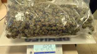 Dos detinguts a Blanes que duien 1 quilo de cabdells de marihuana dins el cotxe