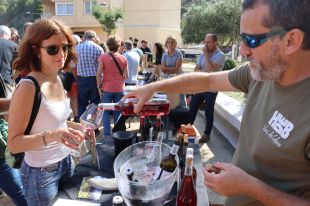 Mig miler d'amants del vi s'apleguen a la 2a fira Territori Pissarra de Colera