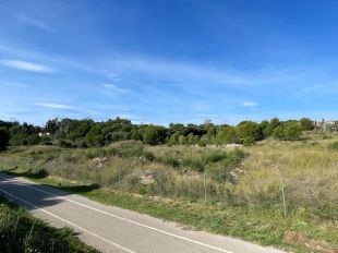 Calonge crearà un gran parc urbà a Sant Antoni i incrementarà l'habitatge protegit
