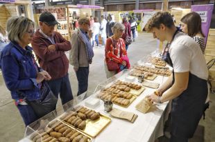 Obre la 61a Fira de Mostres de Girona amb 295 expositors i un 6% més d'ocupació