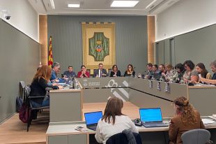 Banyoles apuja l'IBI i les taxes municipals un 3,5%