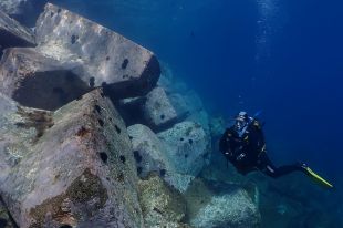 Arrenca el Costa Brava Blue Fest amb una xerrada sobre el tauró blau al Mediterrani