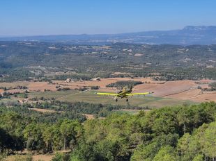 Avionetes i helicòpters participaran en un tractament contra la processionària del pi