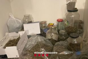Detingudes nou persones que tenien un cultiu de marihuana a un mas de la Bisbal