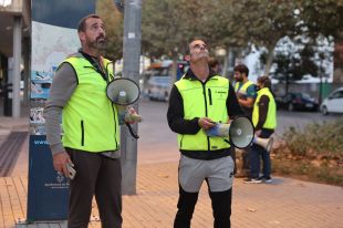 Roses inicia les tasques per foragitar els estornells del nucli urbà