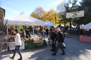 Reivindiquen la necessitat dels municipis petits en la 2a Fira de Micropobles a Planoles