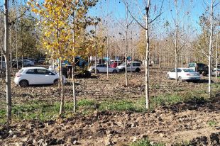 Desallotgen una festa rave a Cervià de Ter amb més de 50 persones