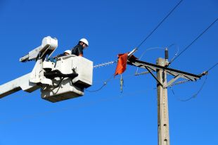 Endesa protegeix part de 21 línies de Girona per evitar que les aus s'hi electrocutin