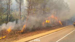 La línia que alimenta el TAV podria haver iniciat l'incendi a Sant Julià de Ramis