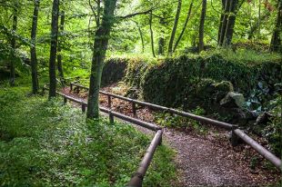 Olot comprarà quatre finques al sector de la Moixina per a la seva protecció