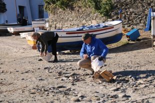 Amics de la Natura de Cadaqués reivindiquen la importància de les ''passanelles''