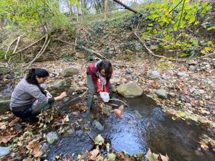 Un estudi determina que els rius de capçalera contaminen més del que es creia