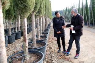 La Generalitat flexibilitza les restriccions per sequera a pagesos, ramaders i viveristes