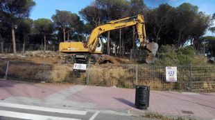 Denuncien una tala d'arbres a la Fosca de Palamós per aixecar-hi dos edificis i tretze xalets