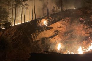 Es declara un incendi forestal de matinada a Sant Hilari Sacalm