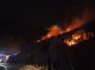Un incendi forestal crema 3.000 metres quadrats de vegetació a Portbou
