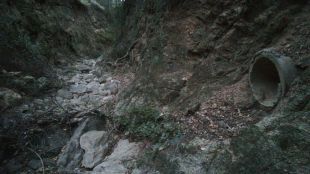 Denuncien un abocament de purins al riu provinents d'una granja de Cantallops