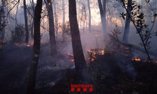 Estabilitzat un incendi de vegetació a Brunyola i Sant Martí Sapresa 