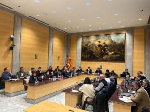 La Diputació reconeix Medinyà i Sant Julià de Ramis com ''dues realitats diferents''