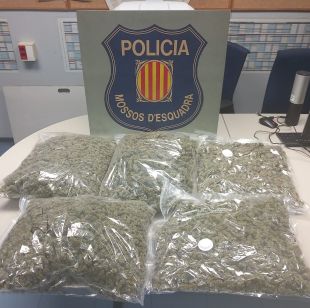 Dos joves fugen d'un control a Vidreres i abandonen vuit quilos de marihuana en un bosc de Caldes