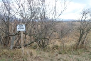 Alarma als Aiguamolls de l'Empordà: hi ha 300 hectàrees d'estanys completament secs