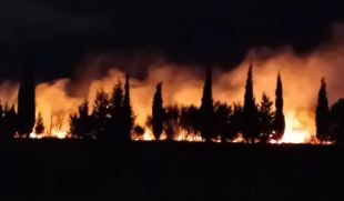 Un incendi forestal empès pel vent posa en alerta els veïns de Vilafant