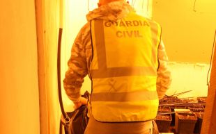 Desmantellat un cultiu amb més de 1.200 plantes de marihuana en una casa aïllada de Riudarenes
