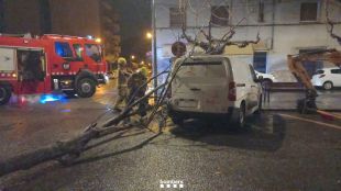 Vint sortides dels Bombers relacionades amb la tramuntana, la majoria per arbres caiguts
