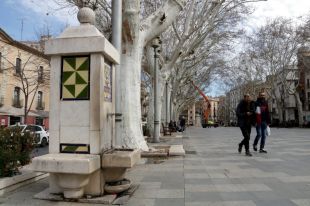 Figueres defensa que ha fet els ''deures'' amb la sequera