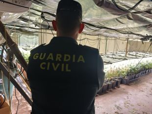 Desmantellen un cultiu amb 1.003 plantes de marihuana en una nau industrial del Mas Xirgu a Girona