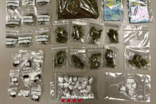 Dos detinguts i 51 identificats per venda de droga al detall en quatre bars de Figueres