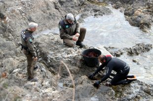 Els Rurals augmenten la pressió sobre els furtius de garotes a Girona