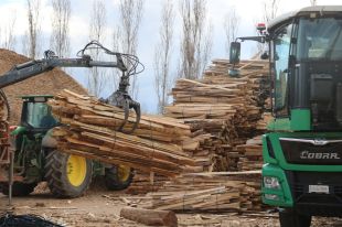 La sequera incrementa la producció de biomassa a les comarques gironines