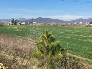 El Govern engega els tràmits per al concurs d'idees i el projecte del futur Campus de Salut