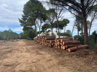 SOS Costa Brava denuncia diverses ''tales massives'' i ''especulatives'' al litoral