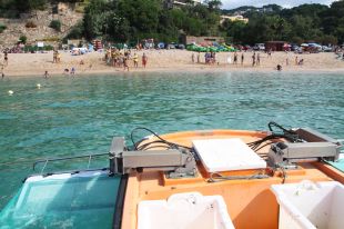 La recollida de la brossa del mar a la Costa Brava, una assignatura pendent en temps de crisi 
